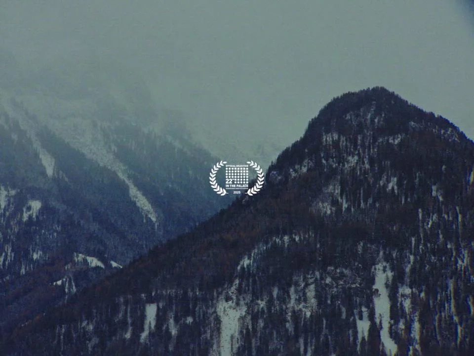 LARVEN — project image