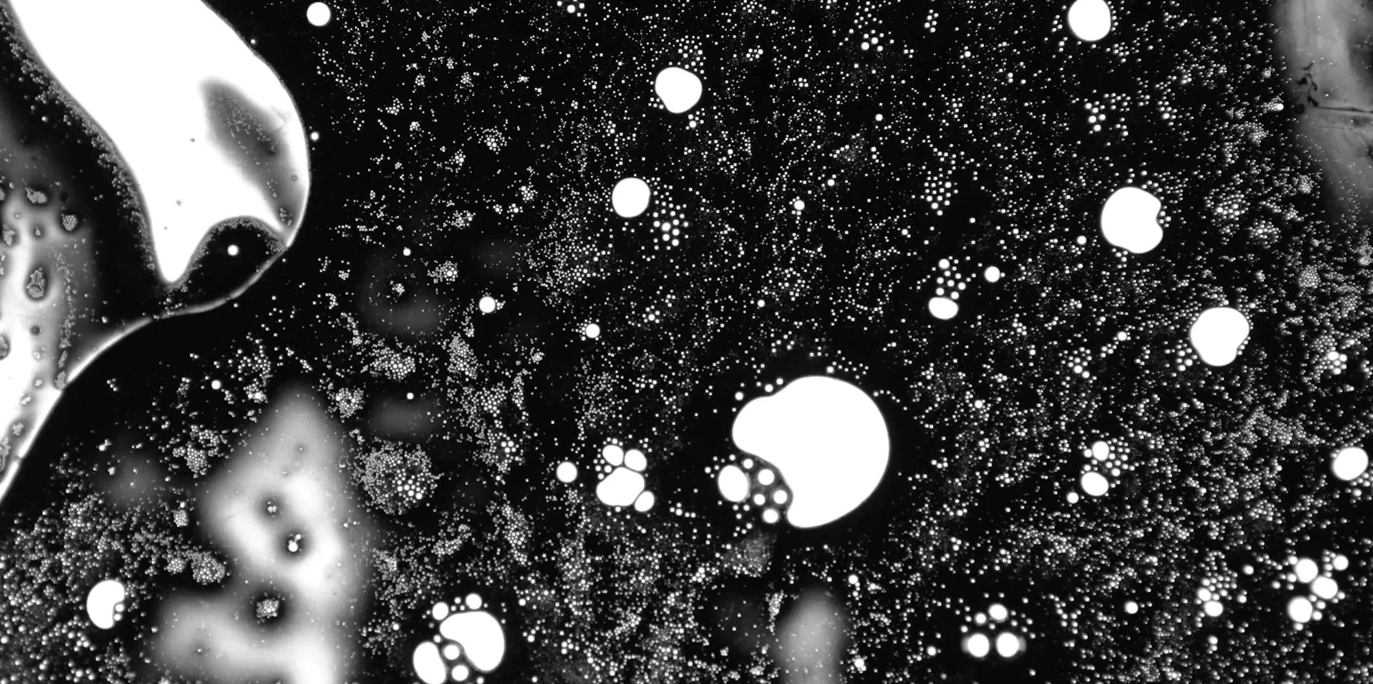 Chronos — image 2